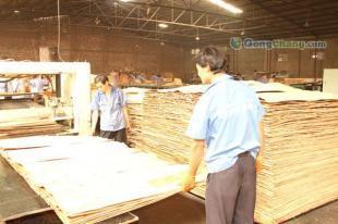 廠家經銷河北廊坊金亨牌915*1830建筑木模板 15620997913_建筑建材_世界工廠網中國產品信息庫